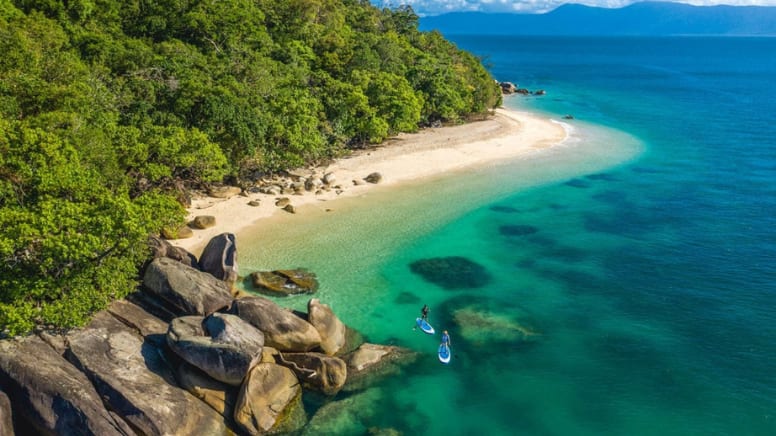 Stand up Paddle Board or Kayak Turtle Tour, 75 Minutes - Fitzroy Island, Cairns