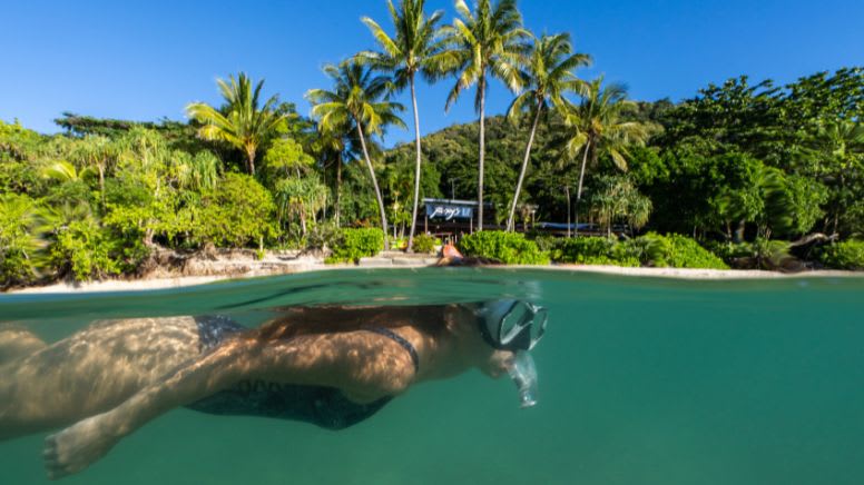 Stand up Paddle Board or Kayak Turtle Tour, 75 Minutes - Fitzroy Island, Cairns