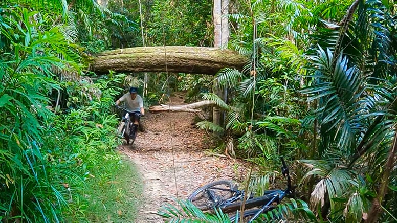 Hartley’s Falls e-Mountain Bike Tour, Half Day - Palm Cove