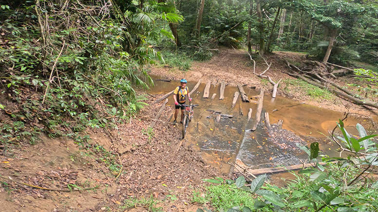 Hartley’s Falls e-Mountain Bike Tour, Full Day - Departing Palm Cove