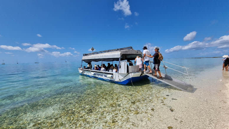 Lady Musgrave Island Cruise and  Day Tour