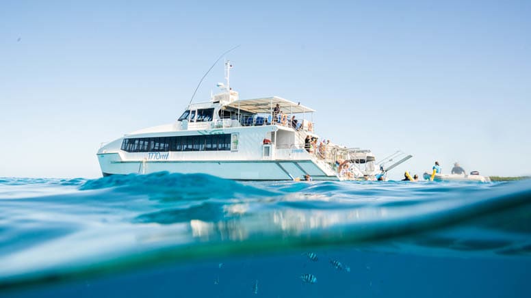 Lady Musgrave Island Cruise and  Day Tour