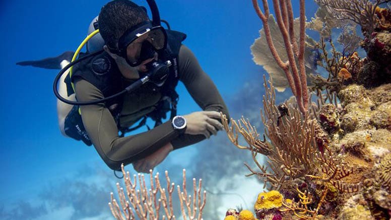 Introductory Scuba Diving Session, 4 Hours - Sydney