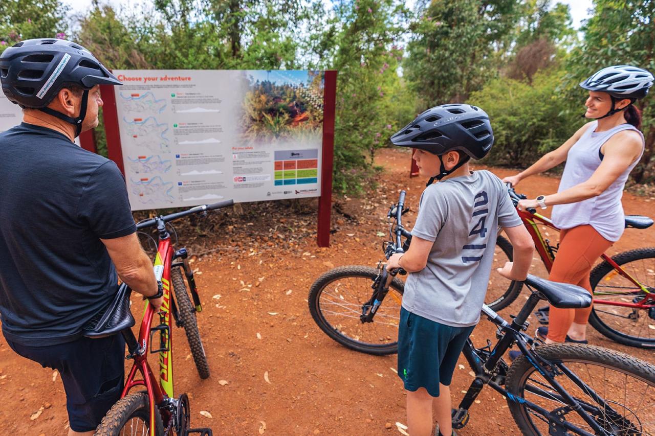 Full Day Dwellingup Munda Biddi Mountain Bike Experience