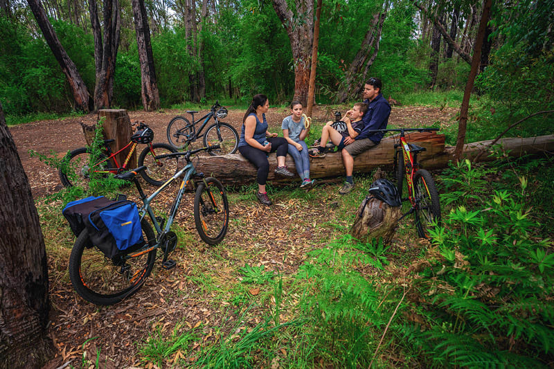 Full Day Dwellingup Munda Biddi Mountain Bike Experience