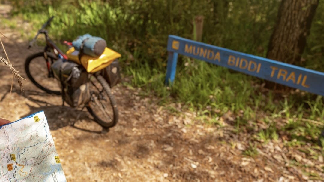 Full Day Dwellingup Munda Biddi Mountain Bike Experience