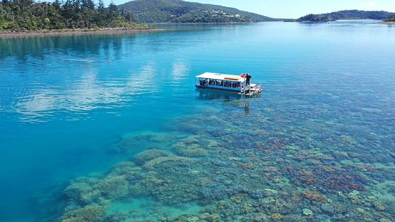 Glass Bottom Boat Tour, 70 Minutes - Airlie Beach