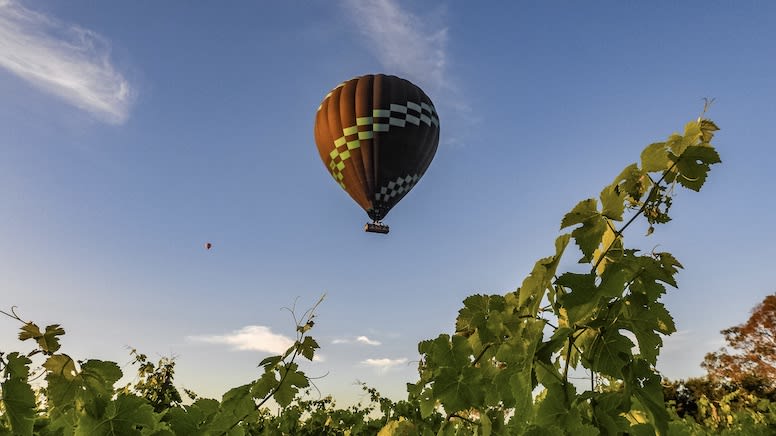 Hot Air Balloon Ride & Breakfast - Hunter Valley - Weekday Special