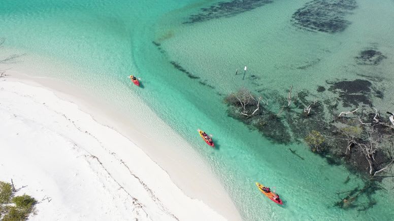 Remote Fraser Island (K'gari) Tour with Whale Watching - Hervey Bay