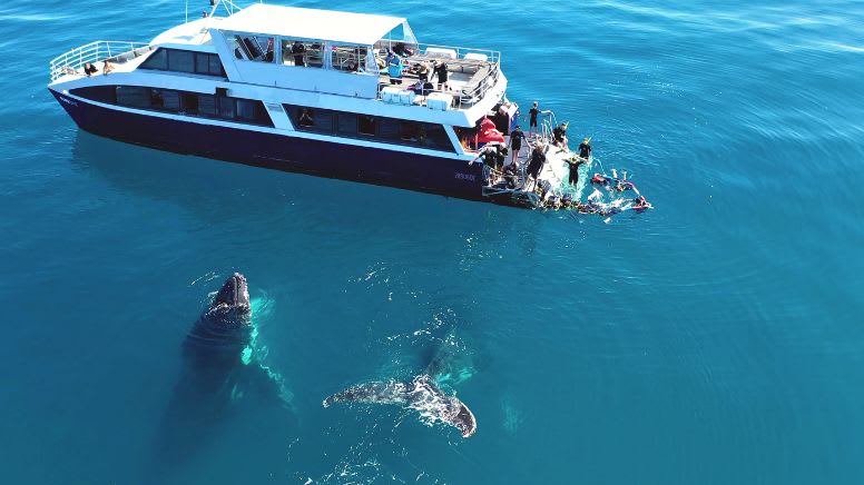 Remote Fraser Island (K'gari) Tour with Whale Watching - Hervey Bay