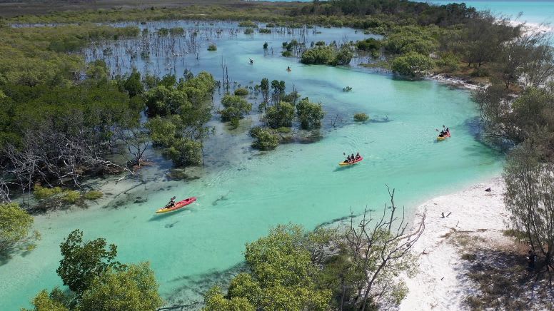 Remote Fraser Island (K'gari) Tour with Whale Watching - Hervey Bay