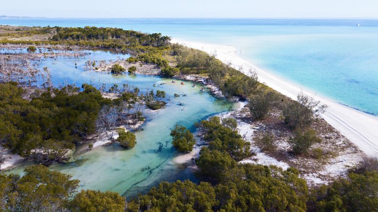 Fraser Island (K'gari) Experience with Lunch and Transfers - Hervey Bay