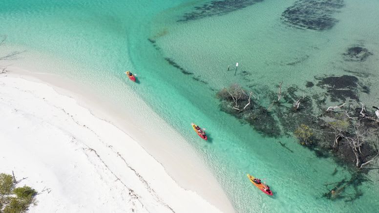 Fraser Island (K'gari) Experience with Lunch and Transfers - Hervey Bay