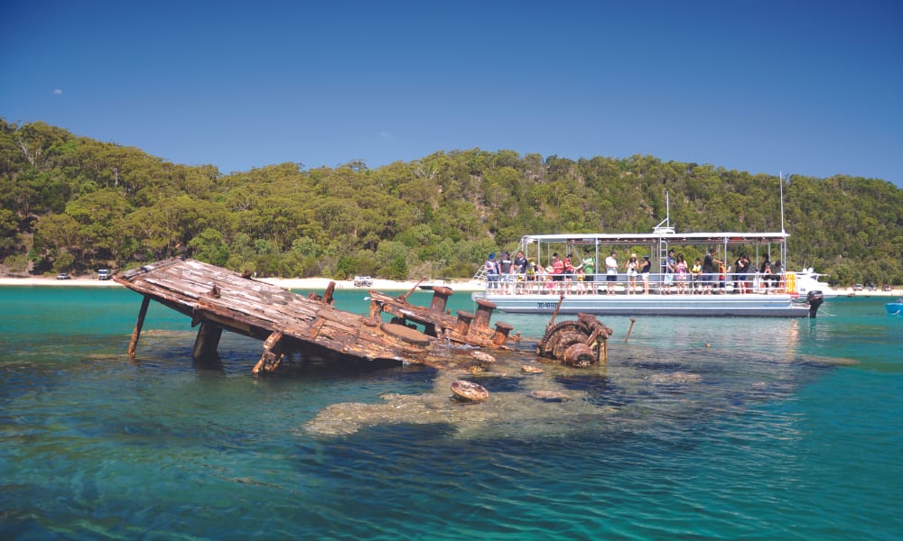 Moreton Bay Marine Discovery Cruise - Brisbane