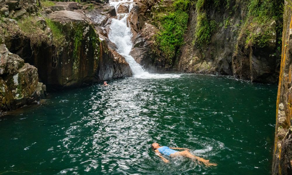 Finch Hatton Gorge Hike & Swim, 5 Hours - Mackay