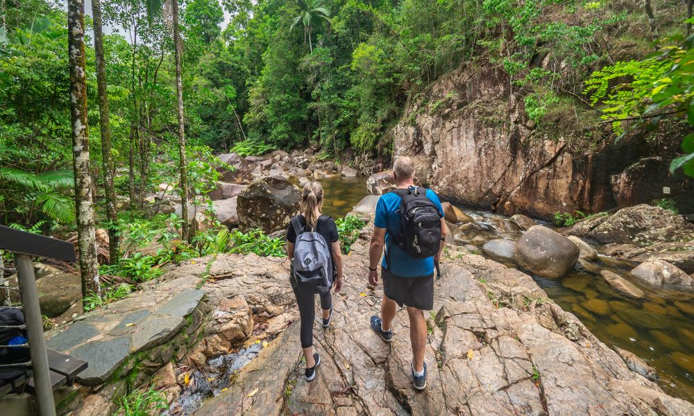 Finch Hatton Gorge Hike & Swim, 5 Hours - Mackay