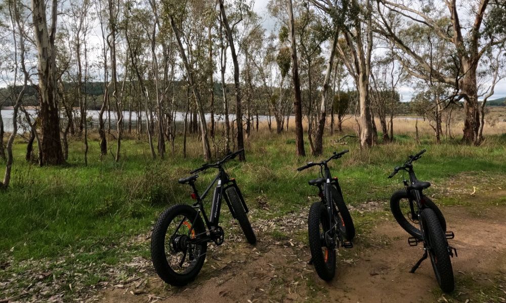 Electric Bike Hire, 2 Hours - Barossa Valley