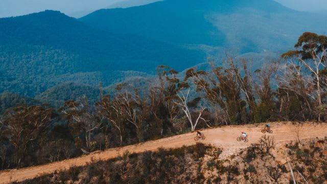 Mountain biking