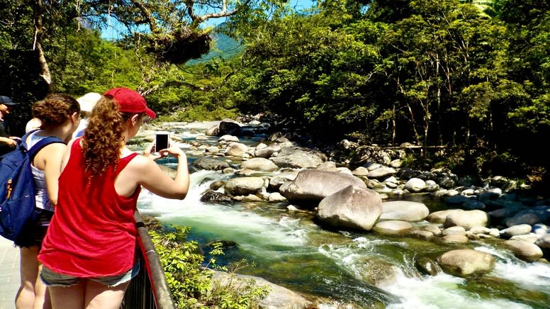 Cape Tribulation Full Day Adventure - Departs Cairns