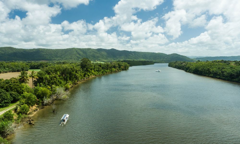 Daintree Rainforest Afternoon Cruise and Nocturnal Tour, 9.5 Hours - Cairns