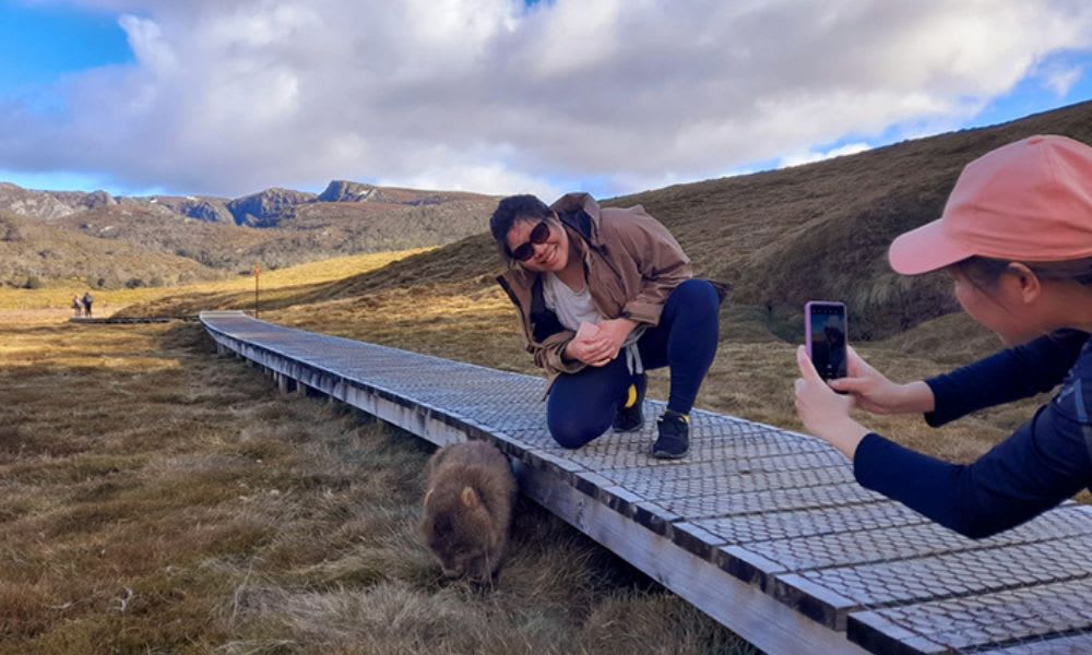 Cradle Mountain Active Day Trip,15 Hours - Hobart