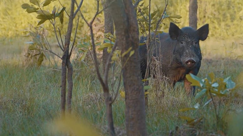 Overnight Australian Wild Expedition with Andrew Ucles - Darwin