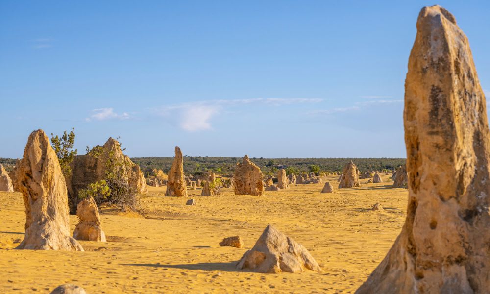 Scenic Flight from Perth to Pinnacles Desert, Half Day - Perth