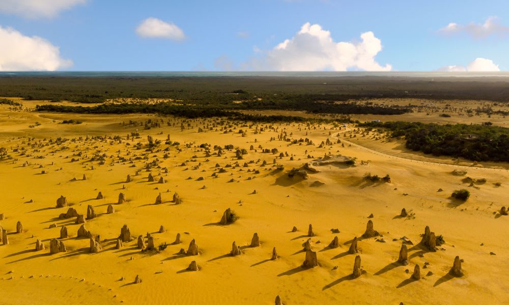 Scenic Flight from Perth to Pinnacles Desert, Half Day - Perth