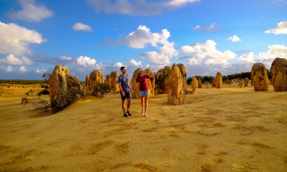 Scenic Flight from Perth to Pinnacles Desert, Half Day - Perth