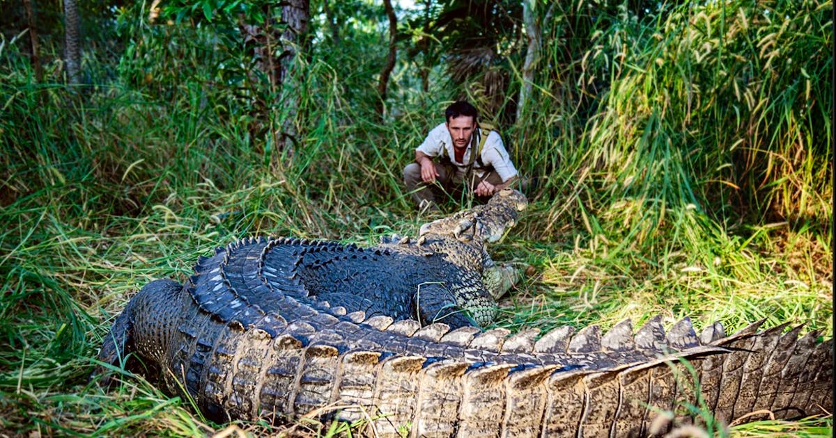 Australian Outback Day Tour and Survival Training with Andrew Ucles - Darwin