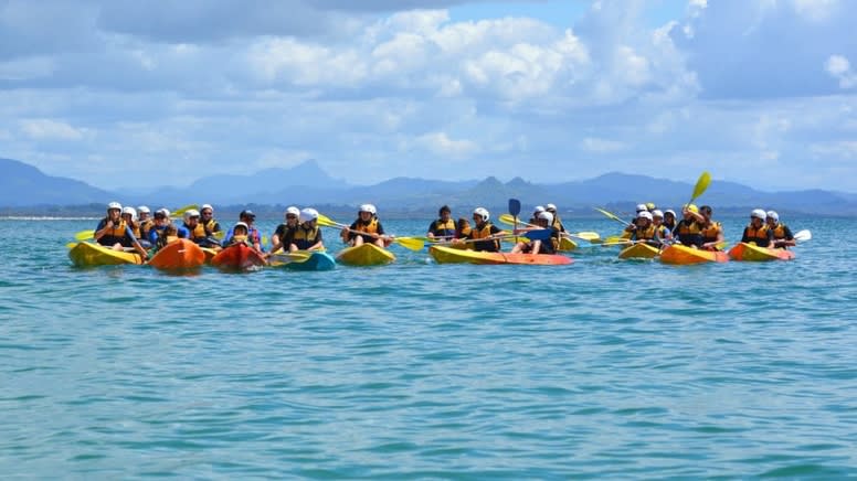 Dolphin Kayak Tour, 2.5 Hours - Byron Bay