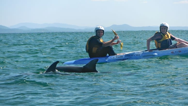 Dolphin Kayak Tour, 2.5 Hours - Byron Bay