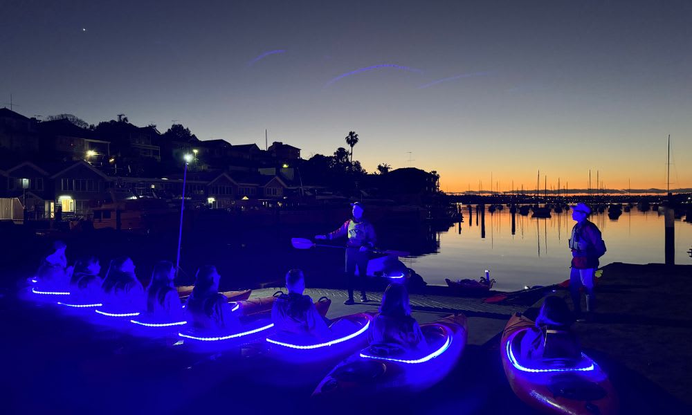 City Lights Night Paddle Kayaking, Sydney Harbour 90 Minutes Adrenaline