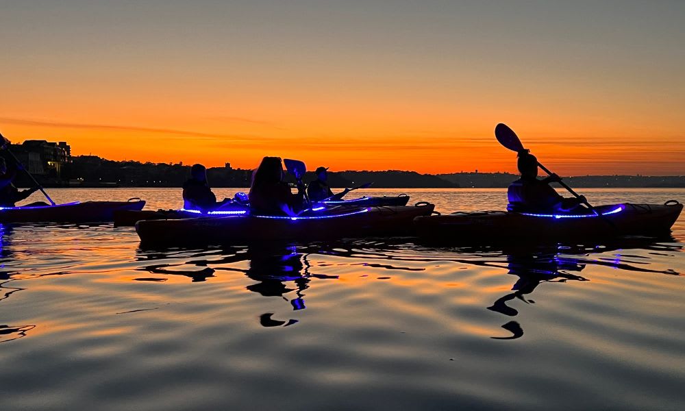 City Lights Night Paddle Kayaking, Sydney Harbour 90 Minutes Adrenaline