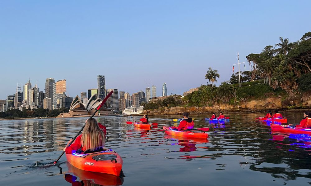 City Lights Night Paddle Kayaking, Sydney Harbour 90 Minutes Adrenaline