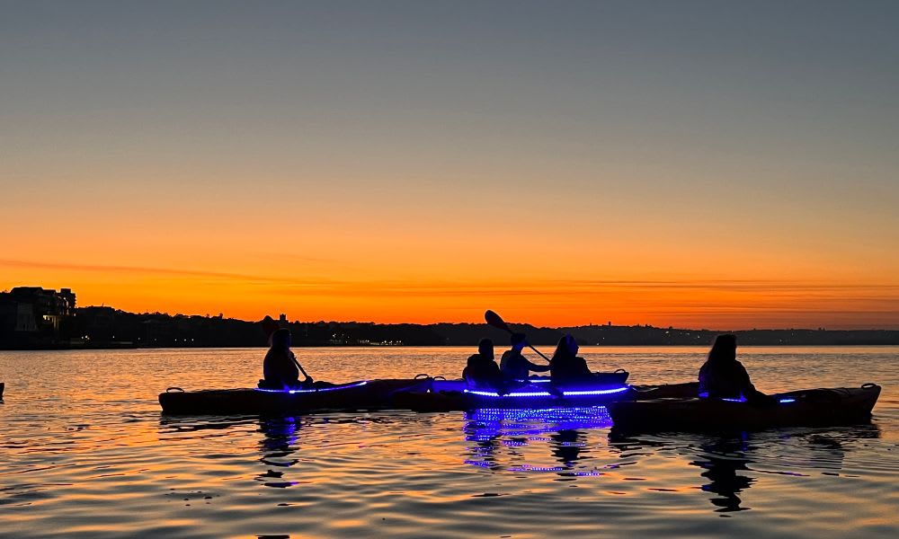 Sunset Kayaking Session, Sydney Harbour - 90 Minutes