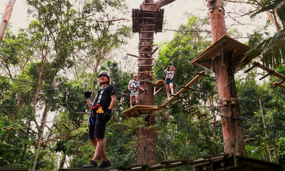 Flying Fox High Ropes Adventure Park - Currumbin, Gold Coast