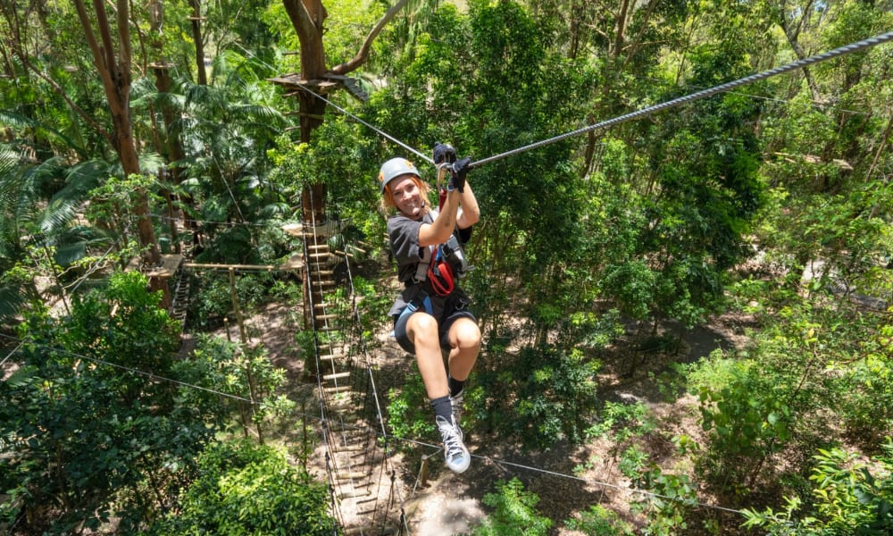Flying Fox High Ropes Adventure Park - Currumbin, Gold Coast