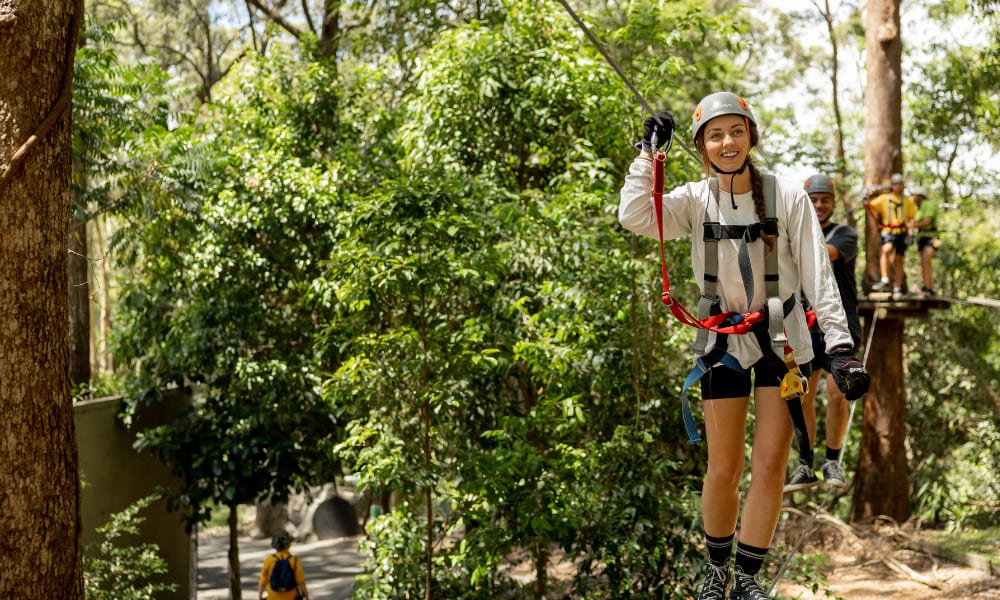 Flying Fox High Ropes Adventure Park - Currumbin, Gold Coast