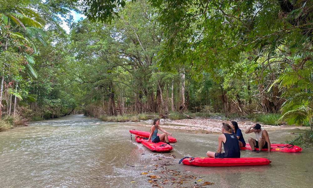 Mossman Gorge Day Tour with River Drifting - Departs Port Douglas or Cairns