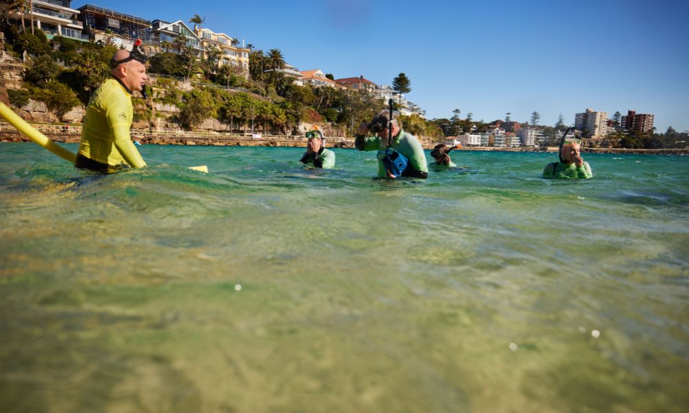 Snorkel Tour and Nature Walk - Manly, Sydney