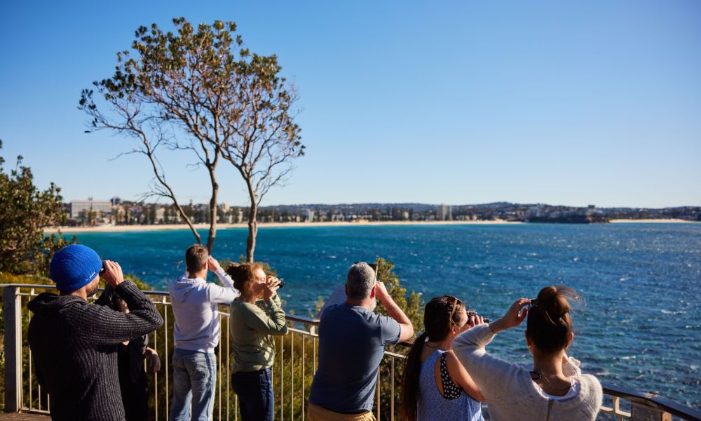 Snorkel Tour and Nature Walk - Manly, Sydney