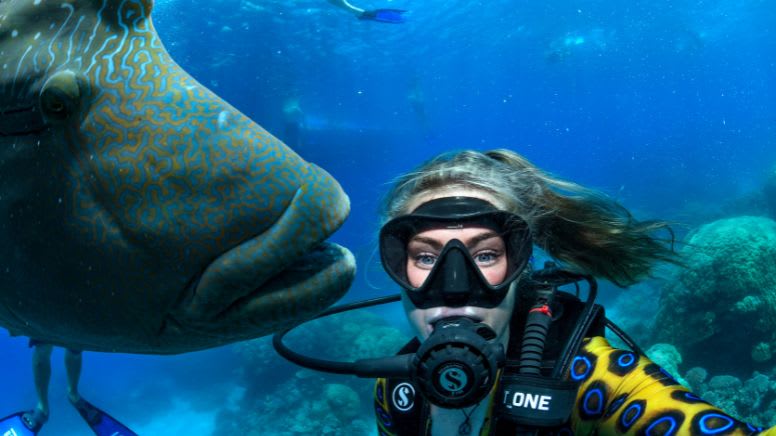 4-Day PADI Open Water Dive Course - Cairns