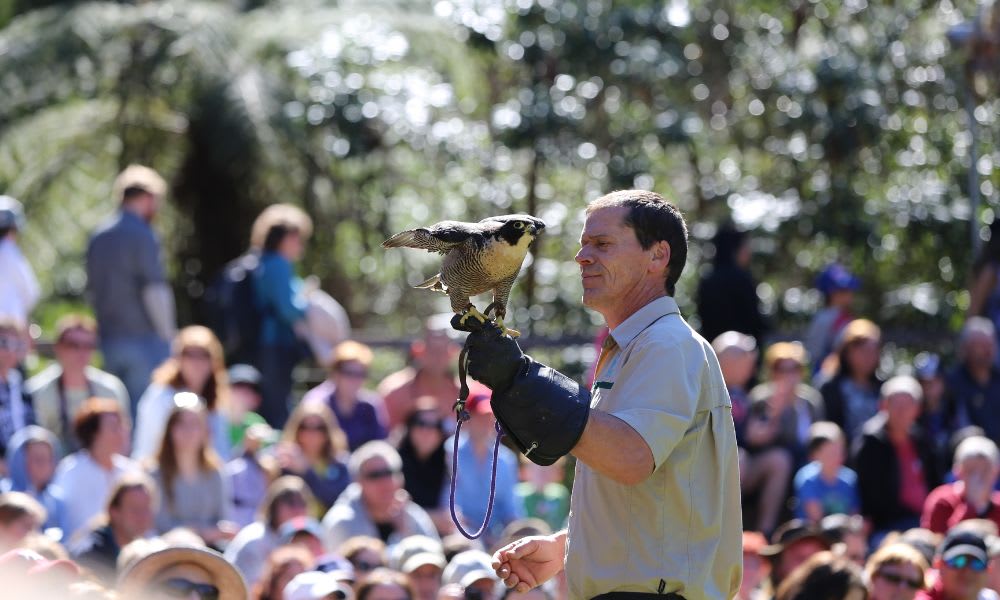 VIP Wildlife Experience at Healesville Sanctuary