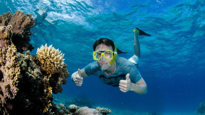 Outer Reef Snorkelling Adventure, 7 Hours - Port Douglas