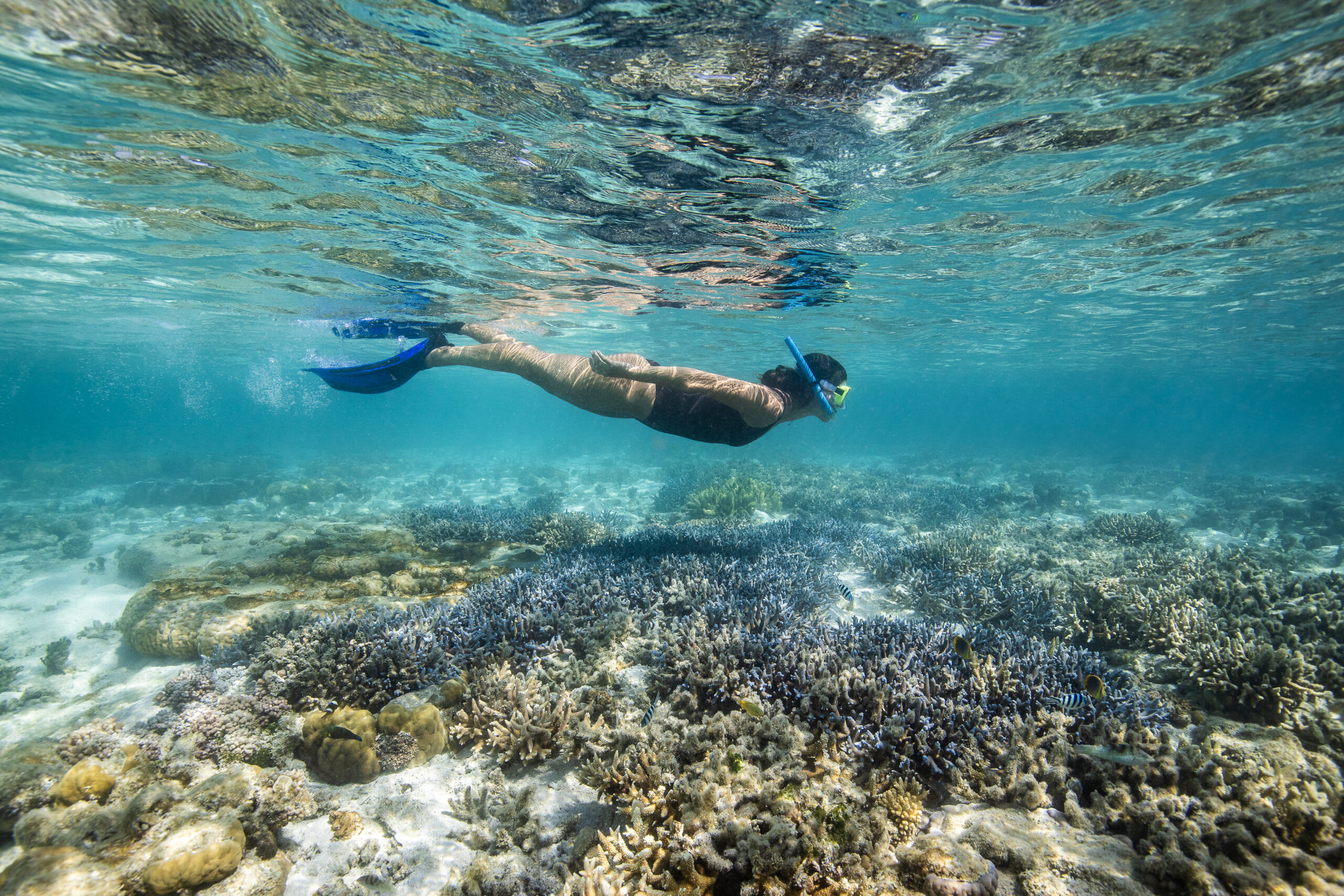 Overnight Great Barrier Reef Stay with Cruise & Snorkelling - Airlie Beach