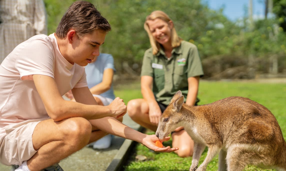 Wildlife Habitat Croc Feeding Experience and Entry - Port Douglas