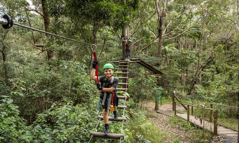 Mount Tamborine High Ropes Adventure Park Experience Adrenaline Adrenaline