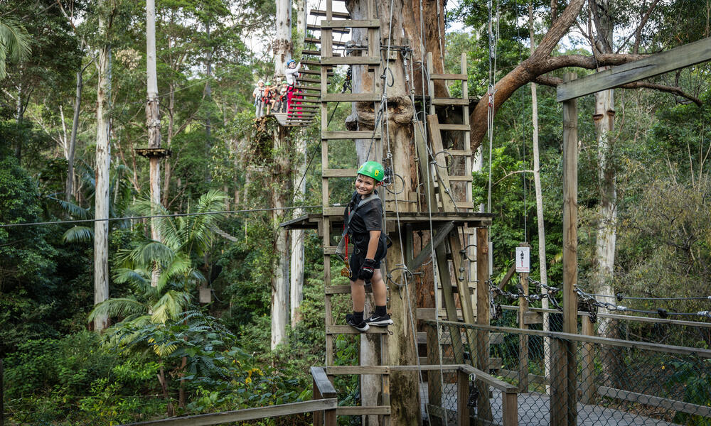 Mount Tamborine High Ropes Adventure Park Experience Adrenaline Adrenaline