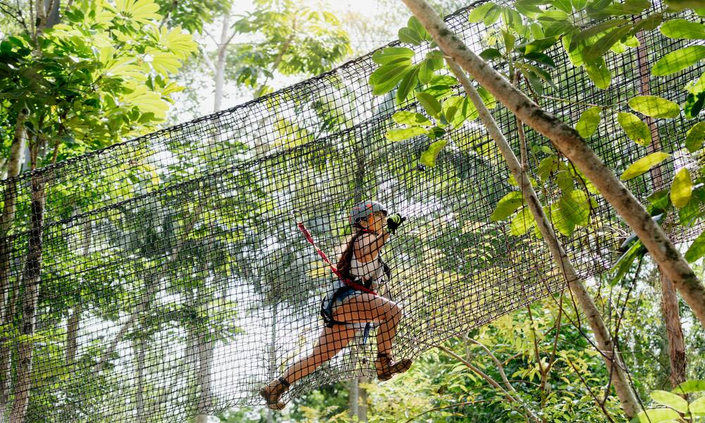 Mount Tamborine High Ropes Adventure Park Experience Adrenaline Adrenaline